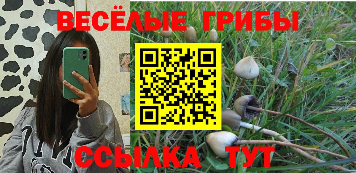 Псилоцибиновые грибы GOLDEN TEACHER Светлоград