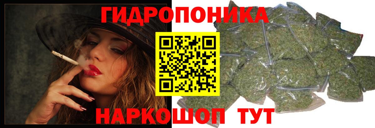 Конопля план Светлоград